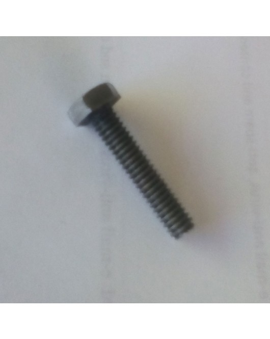 Hercus 260 tumbler gear locking screw--part No.5H159